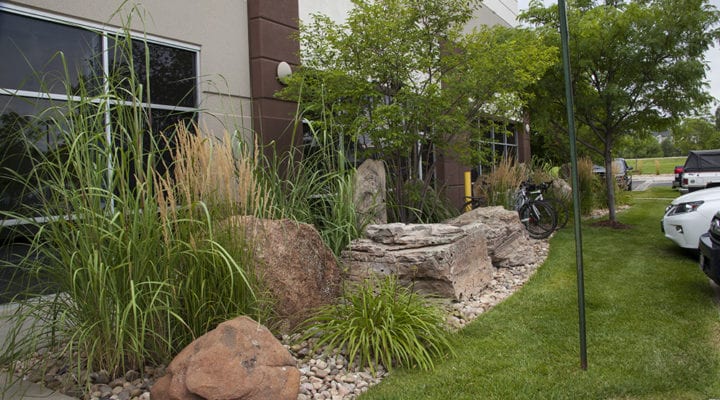 commercial landscaping in Denver, CO